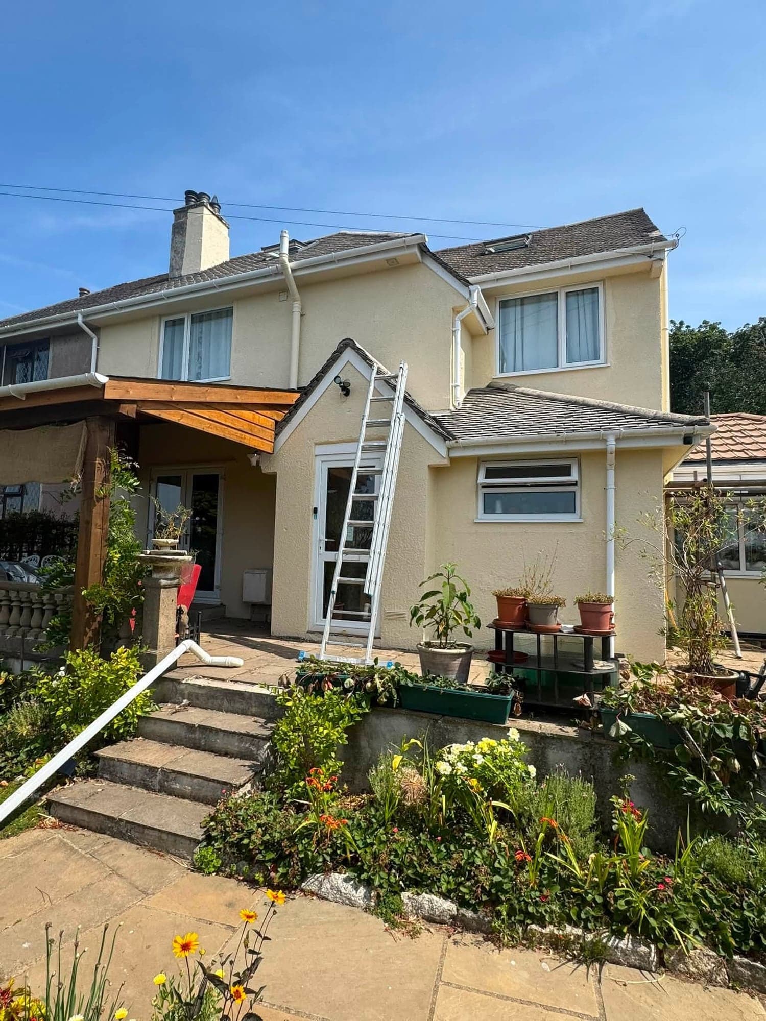 Front of a cream rendered semi-detached house with a ladder against the wall, freshly painted render and white windows above a garden of pots and flowers